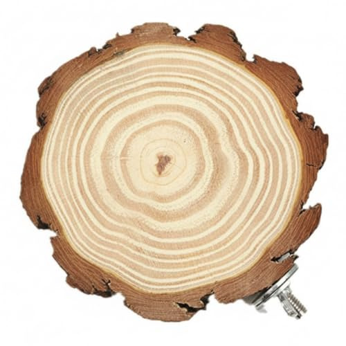 Flat Pine Wood Perch Board | Cage Accessory, For Small Birds, Natural Finish, 7 x 7 cm
