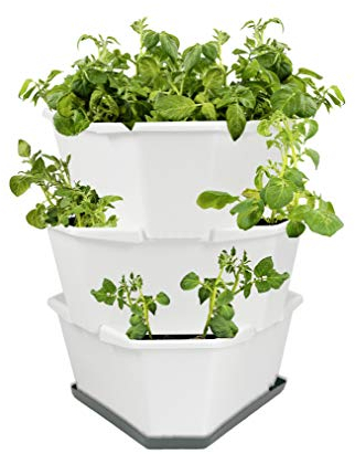 Paul Potato Starter Kartoffelturm - stapelbar - Hochbeet/Pflanzgefäß/Blumentopf für Balkon, Garten und Terrasse (3 Etagen, Weiß) inkl. Untersetzer