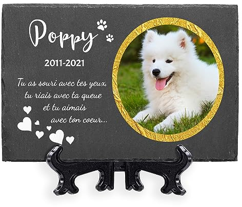 AIGAT Plaque commémorative Grande personnalisée 7.8 x 11.8 / 20 x 30 cm avec nom, Date, Photo et Support pour Animal Domestique, Chat, Chien, Ardoise, Pierre tombale - Cadre d'or Photo