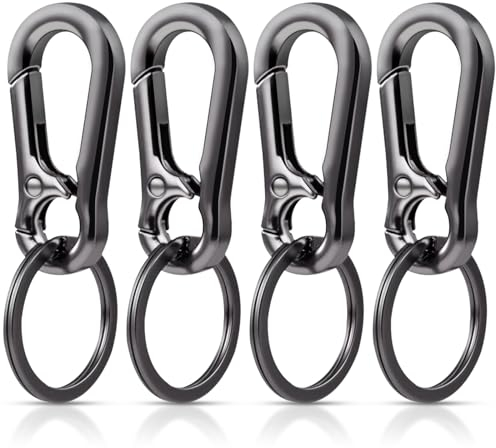Redamancy 4 Stück Karabiner Set, Karabiner Schlüsselanhänger, Abnehmbare Karabinerhaken, Schlüsselanhänger Metall, Karabinerhaken Klein Schlüsselanhänger als Schlüsselhalter und zum Basteln(Schwarz)