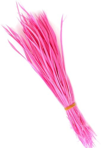 GreatRise 50 Stück Dünn Gänsefedern, 15-20cm Gans Federn Streifen Bastelfeder Dekofedern Schmuckfedern Vogelfedern für DIY Handwerk Traumfänger Hochzeit Geburtstag Deko Indianer Kopfschmuck Rosa