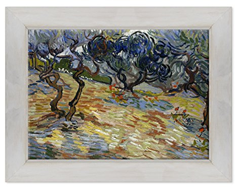Cadre sur châssis toile canvas – – Prêt à accrocher – Van Gogh – Olive Trees – Arbres oliviers Dimensione: 50x70cm D - Colore Bianco Shabby