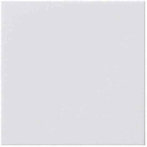 Gira Copertura cieca rws 810803 senza anello di supporto Sistema 55 Accessori per interruttori di installazione 4010337031697