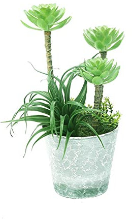 HASMI künstliche Pflanzen Artificial Succulent Plants Tropical Tree Fake Tree Bonsai Mini Agave Potted for Home Desktop Shelf Porch Decor Simulierte Kiefer (Color : B)