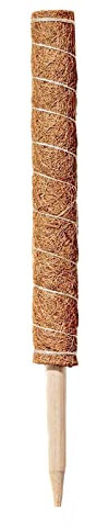 Palo di Muschio, Supporto per Piante Monstera, Bastoncini Impilabili in Fibra di Cocco, Pali di Supporto per Piante Rampicanti da interno, Piante in Vaso, Filodendro (60 cm)