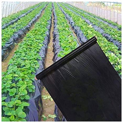 Mantillo negro de 0,8 m de ancho, película de plástico grueso para invernadero de vegetales, ideal para crecimiento de plantas de fresa, 0,01 mm de grosor (tamaño: 0,8 m x 20 m)