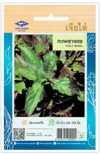 Basilic Thai Rouge Sacré – Red Holy Basil - Sachet de 750 Graines, Basilic Thaïlandais Rouge CHIA TAI