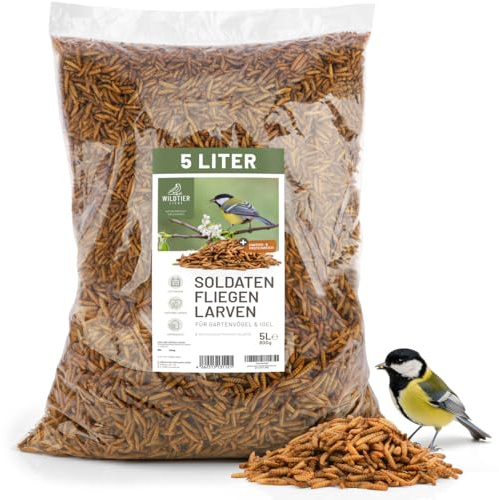 wildtier liebe Larves de mouches soldats séchées 5 l I Larves de mouches soldats séchées pour oiseaux et hérissons I Nourriture riche en protéines pour oiseaux sauvages pour l'alimentation toute