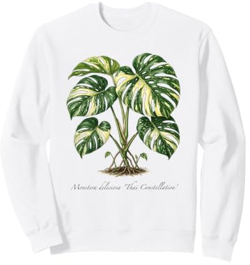 Monstera Thai Constellation plant illustration Sweatshirt