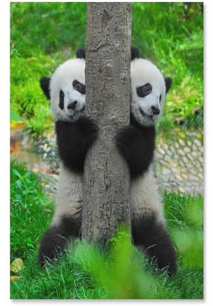 Puzzle，Pandabär-Zwillinge，Für Kinder Und Erwachsene Karton Personalisiertes Puzzle-Spaß-Spiel 1000pcs（38x26cm-371