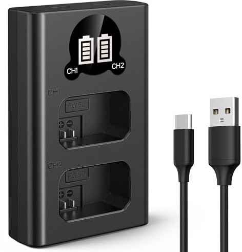 K&F Concept NP-FW50 Cargador con Doble Ranura y Pantalla LCD, Micro USB y Type C Compatible con ZV-E10, Alpha A6400 A6000 A6300 A6500 A5000 A5100 A7 A7II A7R A7RII A7S A7SII RX10 II III y más