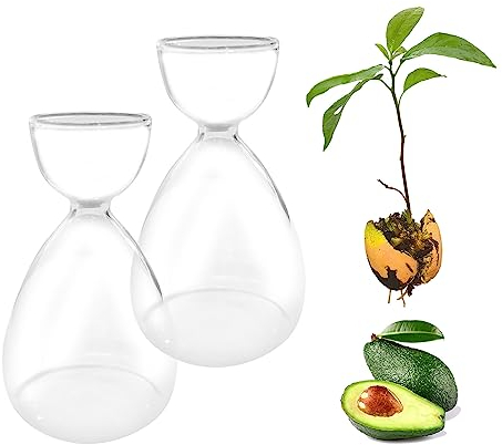 2pcs Glass Avocado Tree Flower Vases, Avocado Seed Starter Vase Glass Vases Avocado Tree Growing Kit Seed Hydroponic Vase Home Table Decor
