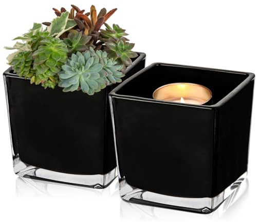 Square Glass Vase, 5 x 5 Black Cube Glass Vases Floral Planter Centerpiece for Home Party Event Wedding, Candle Holder, Set of 2