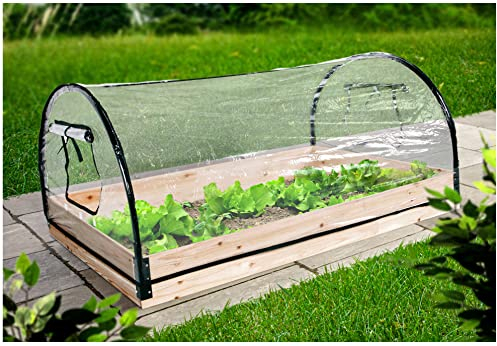 Frühbeet mit Holzrahmen - 120 x 80 cm - Foliengewächshaus mit Metallrahmen - Treibhaus Gewächshaus Pflanzen Anzucht Beet mit Fenstern Transparent