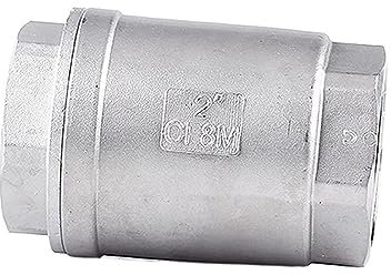 Clapet anti-retour à ressort en ligne à levage vertical DN15 DN20 DN25 DN32 DN40 DN50 1/2 3/4 1 1-1/4 1-1/2 2 BSPT Acier inoxydable SS304(DN15)