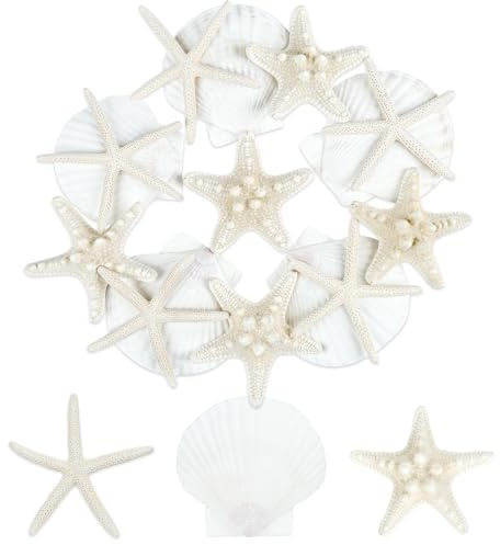 TaoQ C 15 PCS Starfish and Scallop Shells, 2-4 Natural Seashells White Seashells Large Seashells for Crafts Wedding Decor Beach Theme Party, Fish Tank and Vase Filler