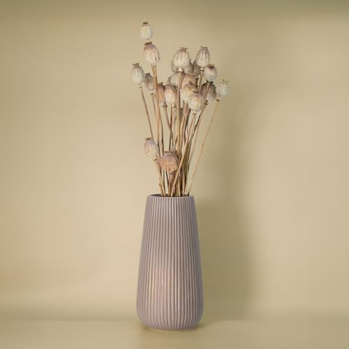 Trockenblumen Feldstrauß Mohnblumen – Handgebundener Trockenblumenstrauß – Optional mit Vase – Tolle Blumen Strauß Dekoration, ewig haltbar Blumenliebhaber