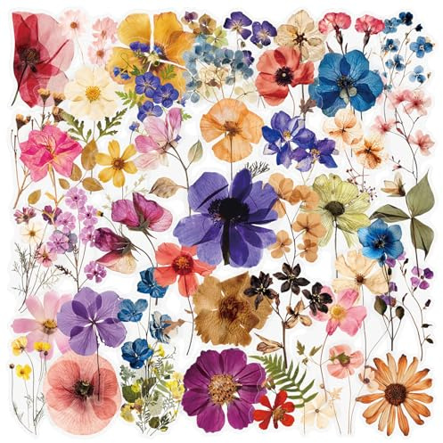 QZKJQDD 50 Stück Transparente Scrapbooking Aufkleber, Blumen Sticker, PET Blumen Aufkleber Pflanzen Sticker, Scrapbook Stickers, für Scrapbook Fotoalbum Sammelalbum Laptops Handwerk