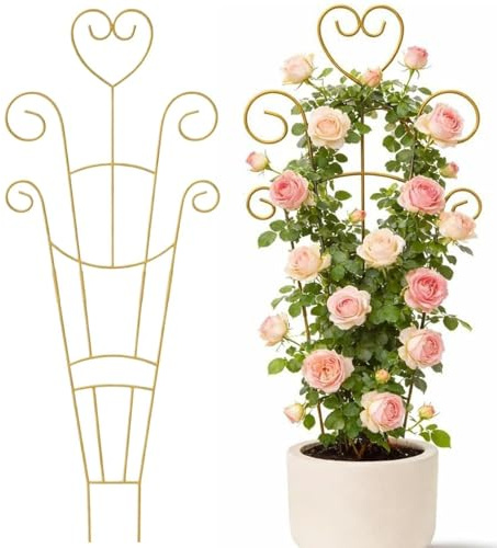 Traliccio Per Piante Supporto metallico rampicanti | Supporto Traliccio Per Geranio, , Clematide E Rampicanti, Per Giardino Interno, Balcone, Terrazzo Ed Esterno
