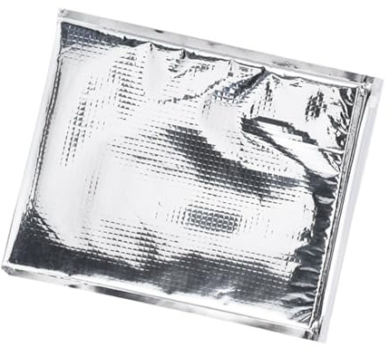 Insulated Bag - 3 Types 5pcs/set Aluminum Foil Insulated Food Storage Bag Thermal Cooler Silver(25 * 30cm)