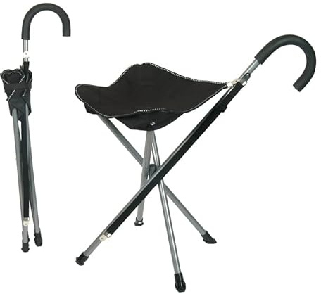 Folding Cane Chair/Walking Stick (Black)