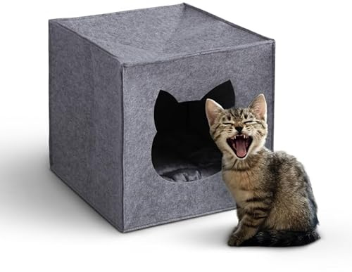 Bestlivings Cueva para gatos de fieltro para estanterías (33 x 33 x 33 cm) con certificado Öko-Tex – Cesta para gatos con cojín – Cama plegable para gatos – Cama para mascotas