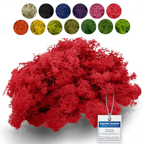 Sphagnum-Shop 500g Islandmoos Rot - Rentierflechte als Deko Moos | Konserviertes Naturmoos zum Basteln, für den Modellbau und Moosbilder - weich, farbecht und pflegefrei ohne Gießen
