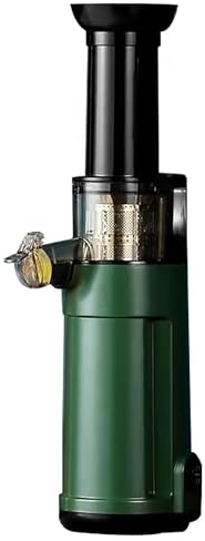 120W Portable Automatic Masticating Blender, Compact Slow Juicer Cold Press, Motor Reverse Function, Higher Juice Yield, for Vegetable Fruit