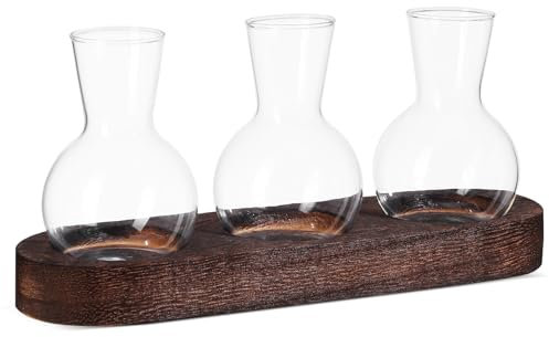 IMIKEYA Hydrokultur Glasvase Klare Blumenvase Für Anzucht Tischdekoration Heimdekoration Mit Stabilem Holzsockel
