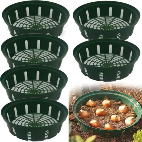 Homeponnew Canastas para bulbos de flores, paquete de 6, bandejas de cultivo de plástico con diseño calado, adecuadas para jardín y plantas de interior, color verde (26 x 22 x 6,5 cm)