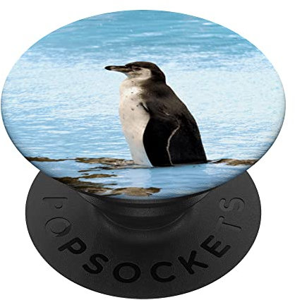 Humboldt Pinguin PopSockets mit austauschbarem PopGrip