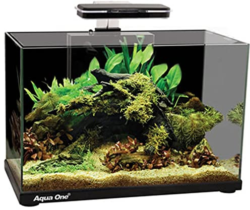 AquaOne Focus 36 Glass Aquarium 36L 50x25x36cm Black