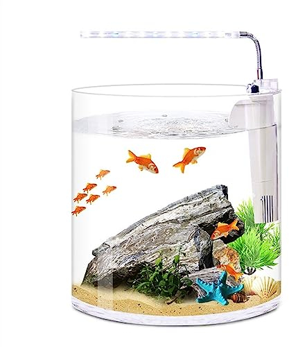 Aquarium Aquarium, ökologisch, gerade, Desktop, klein, niedlich, transparentes Glas, rund, Aquarium, Zuhause, Wohnzimmer, Büro, Filter, LED-Licht, Aquarium Fischtank (Size : M)
