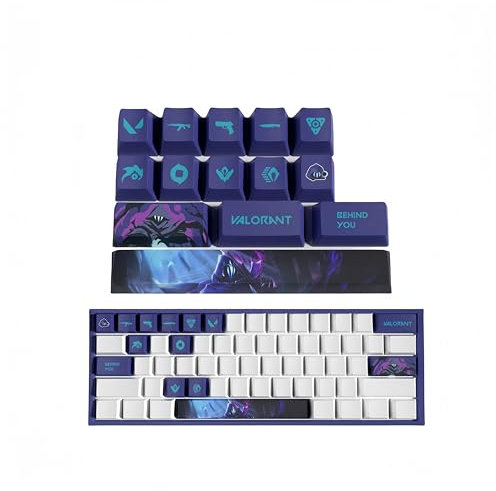 PHJEDXCM （VALORANT） keyboard caps(14) PC Gaming Mechanical Keycap Enter Keycap Numpad Custom Keycaps Laser Engraved with Any Mechanical Keyboard (OMEN)