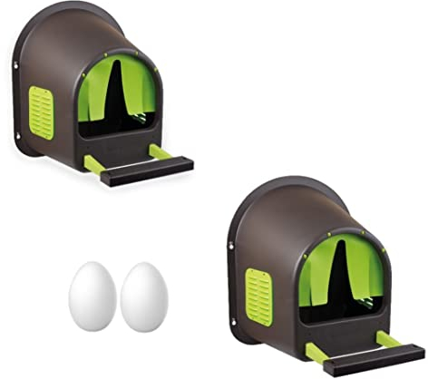 MyCozynest Legenest für Hühner - 2 Stück, bis zu 10 Hühner, Braun/Limettengrün, Robust und Leicht zu Reinigen, Wandmontage, 44 x 40 x 49 cm, Kunststoff, Hühnernest/Geflügelnest