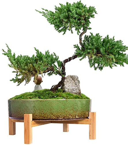 ARTKETTY Vasi per piante - Vaso per bonsai in ceramica con drenaggio, grande vaso per piante succulente per piante cactus da interno, vaso decorativo per fiori con supporto