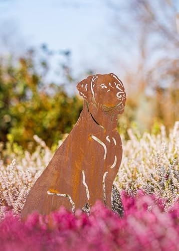 Rostalgie Edelrost Hund Cliff sitzend auf Bodenplatte - Höhe 50 cm