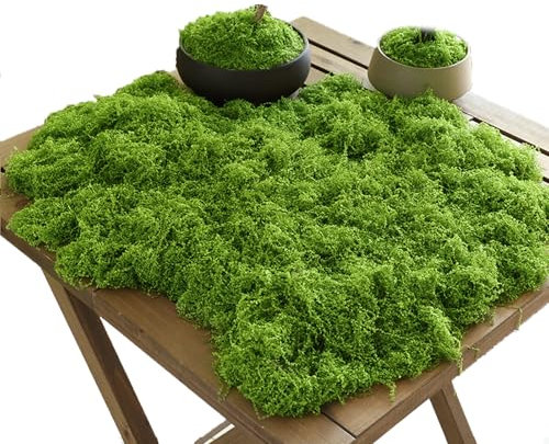 Artificial Moss 100g Dried Plants for Outdoor Pots - Faux Green Decorative Moss for Home, Garden, Crafts and Model Making (Light Green)