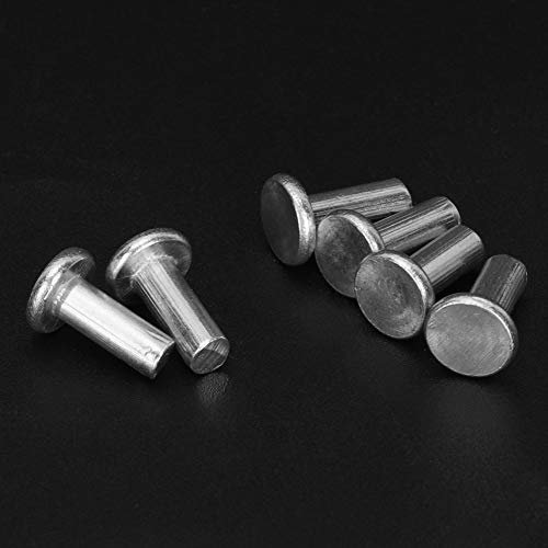 ACOGEDO [100pcs Conjunto de Remache Aluminio Sólido] Rivete Cabeza Plana M4 X 10 mm, Fijación Duradera | Corrosión Resistente para Uso Industrial y Exterior