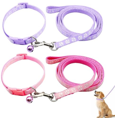 UYVPAER 2 Stück Welpenhalsbänder Mit Leine Set, Hundehalsband Und Leine Verstellbares Hundehalsband Weich Nylon Haustier Halsband Für Welpen Kleine Mittlere Hunde(A)