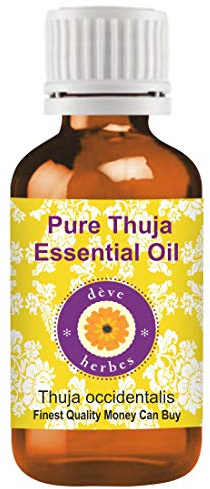 Deve Herbes Pure Huile essentielle de Thuya (Thuja occidentalis) Distillé à la vapeur qualité thérapeutique naturelle 100ml (3,38 oz)