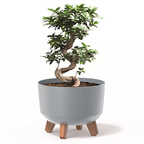 botle Blumentopf mit Füßen Pflanzkübel D 39 cm Kunststoff Grau Töpfe mit Einsatz matt Übertöpfe Geldbaum Kakteen Gummibaum Glücksfeder
