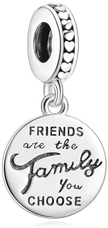 LMLMECREA Damen Charms Anhänger 925 Sterling Silber für Charm Armband | Kleeblatt,Freundschaft,Glück,Familie,Schmuckgeschenk für Frauen