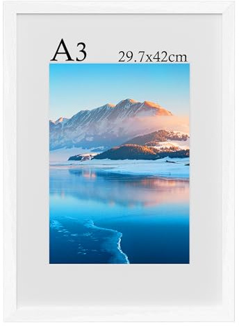 DTXDTech Biliderahmen A3, 29,7 X 42 cm Holz Bilderrahmen, Fotorahmen, Wandmontierter A3 Posterrahmen, Schlafzimmer und Wohnzimmer Dekoration(weiß)
