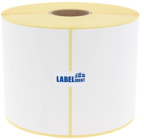 Labelident Versandetiketten (105 x 148 mm) - 750 Thermoetiketten auf 1 Rolle/n 40 mm Kern | Selbstklebende Thermodirekt-Labels mit Trägerperforation für DHL, DPD, Fedex, GLS, Hermes, UPS