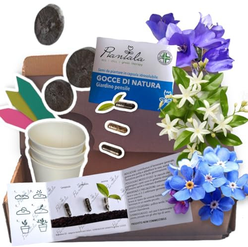 SEMI PINATABILI (GIARDINO PENSILE: campanula, non ti scordar di me, gelsomino)