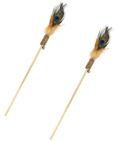 BESPORTBLE 2pièces Jouets pour Chat Bâtons pour Taquiner Jouets Interactifs Lot de Bâton pour Taquiner pour Chat