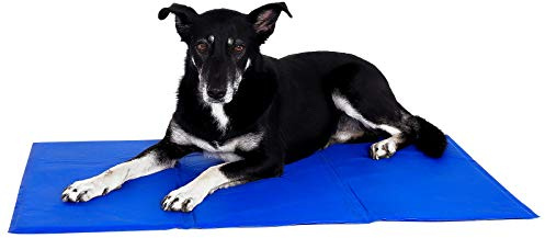 lionto Kühlmatte für Hunde und Katzen, Selbstkühlend, 100 x 60 cm, Blau | Kühlende Haustiermatte ohne Strom, Kühlung durch Körperkontakt, leicht zu reinigen, angenehm an warmen Tagen