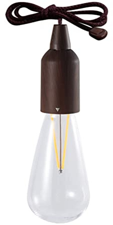 HUSHUI Bombilla de luz LED con cordón de tracción, Linterna Colgante portátil con Pilas para decoración de habitación de Camping Interior al Aire