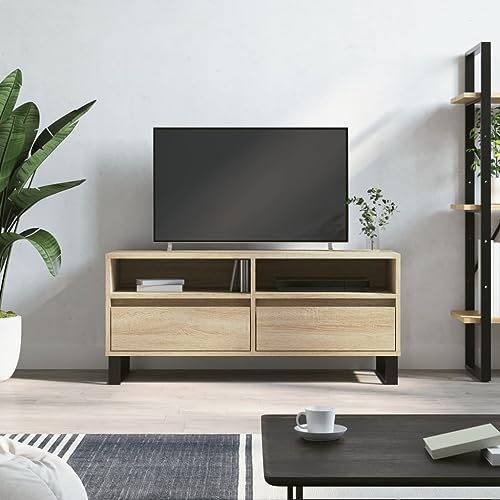 Pangshiyuan TV-Schrank mit 2 Schubladen und 2 Fächern, Sideboard in Sonoma-Eiche Optik, Holzwerkstoff mit Eisenbeinen, Stabiles TV-Möbel für Wohnzimmer und Schlafzimmer, 100W x 34.5D x 44.5H cm